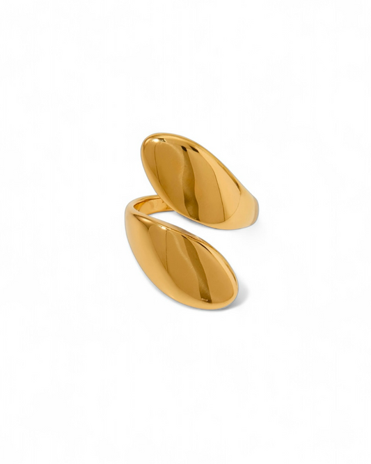 Double Golden Ring
